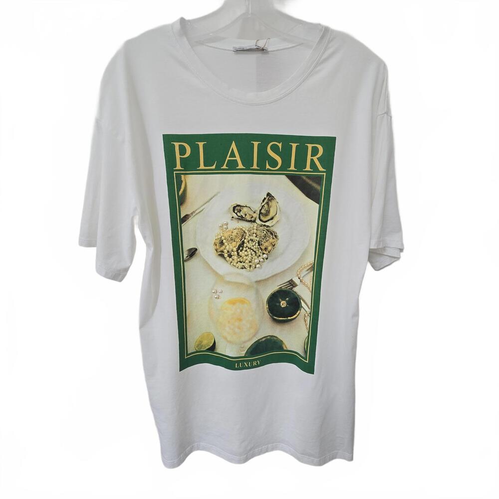 ZARA Plaisir Graphic Tee